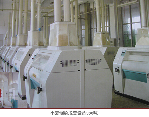 300噸小麥面粉加工設(shè)備.jpg